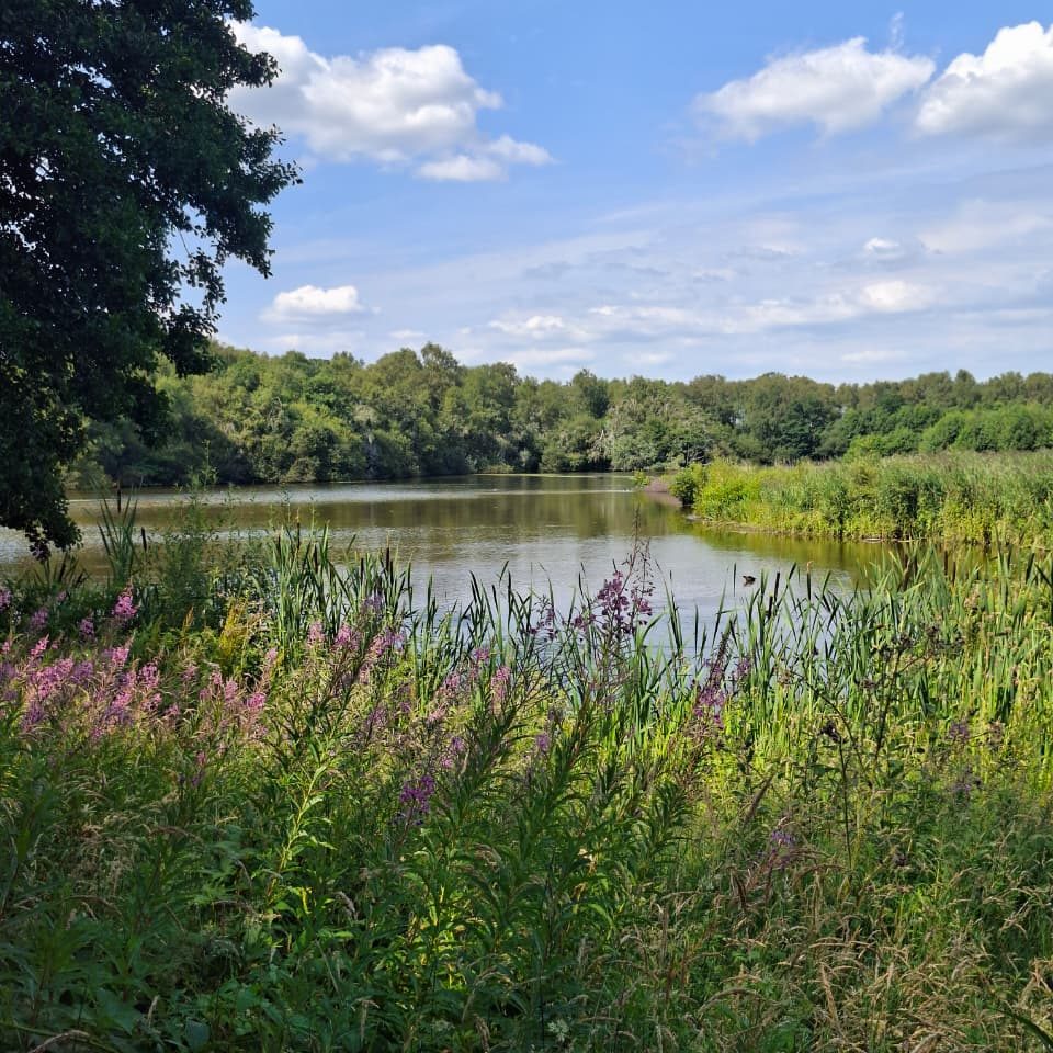 A view from a bird hide in Martin Mere.