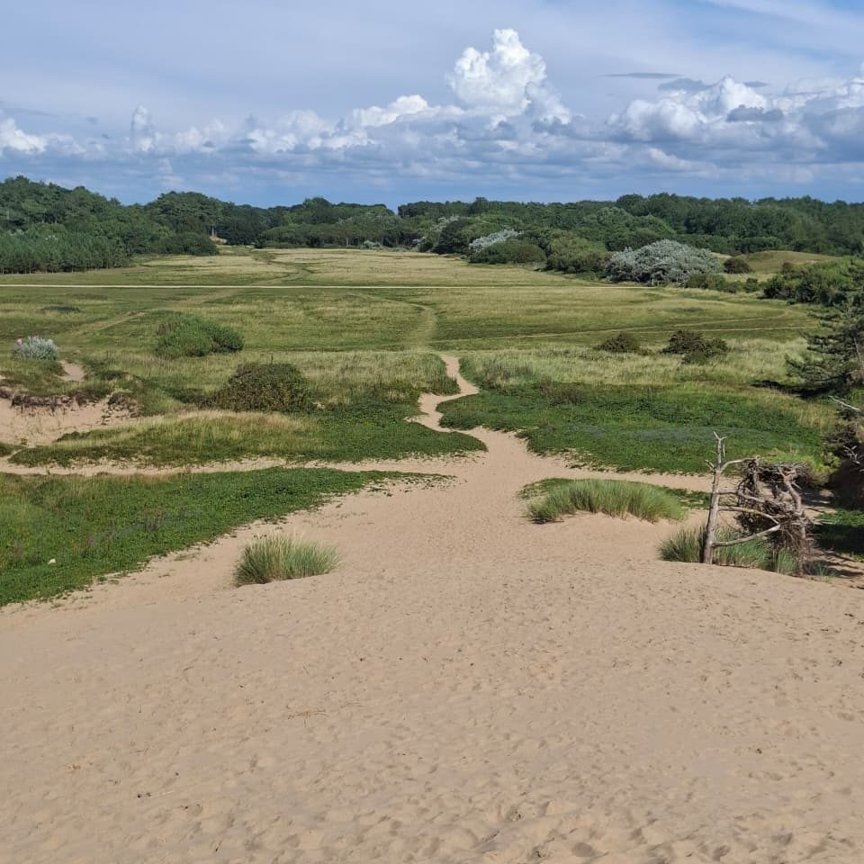 Formby beach gives way to a meadow, where squirrels can be seen.
