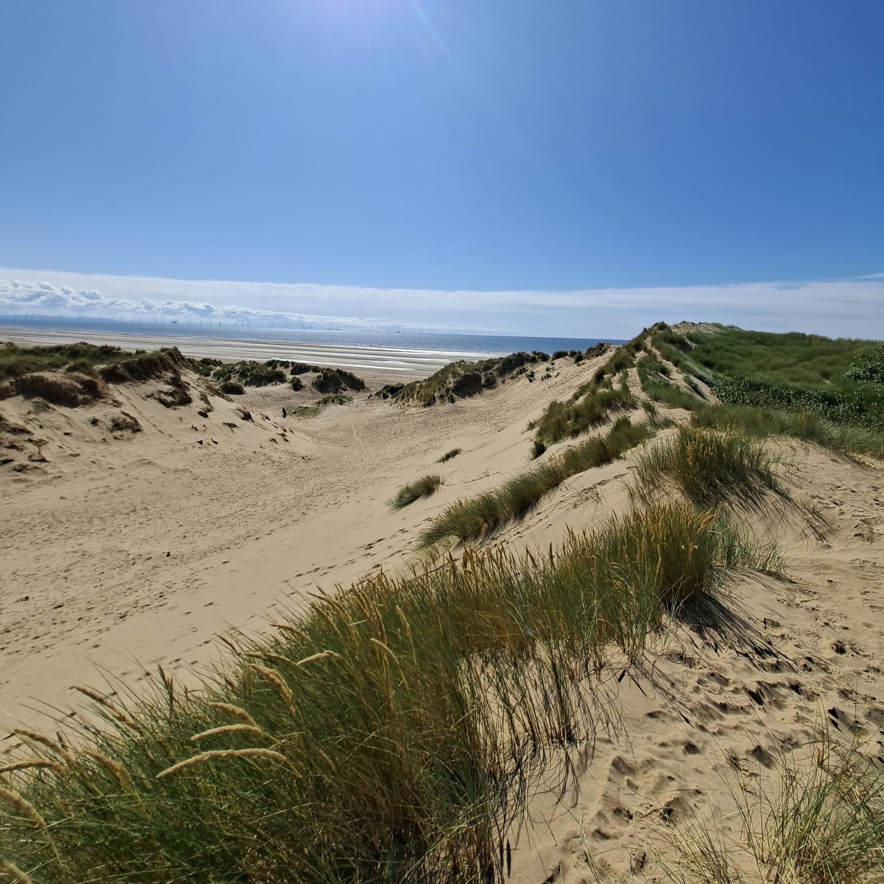 The sand dunes at Formby beach have an other-worldly quality like an alien landscape.