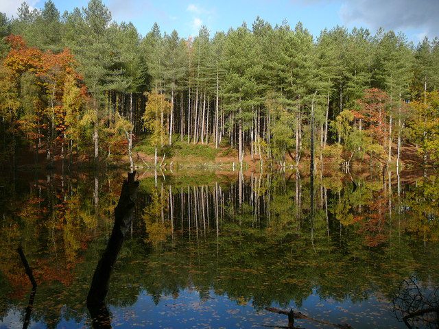 Autumn colours at Dead Lake, Delamere Forest