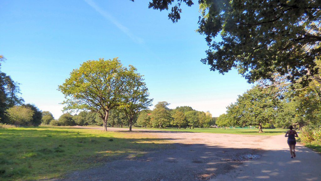A view of Wythenshawe Park.